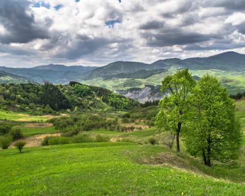 Valea Slanicului